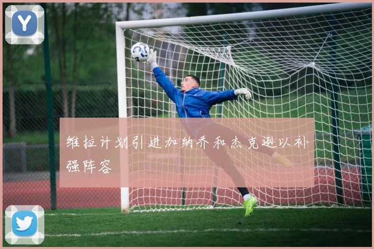 维拉计划引进加纳乔和杰克逊以补强阵容